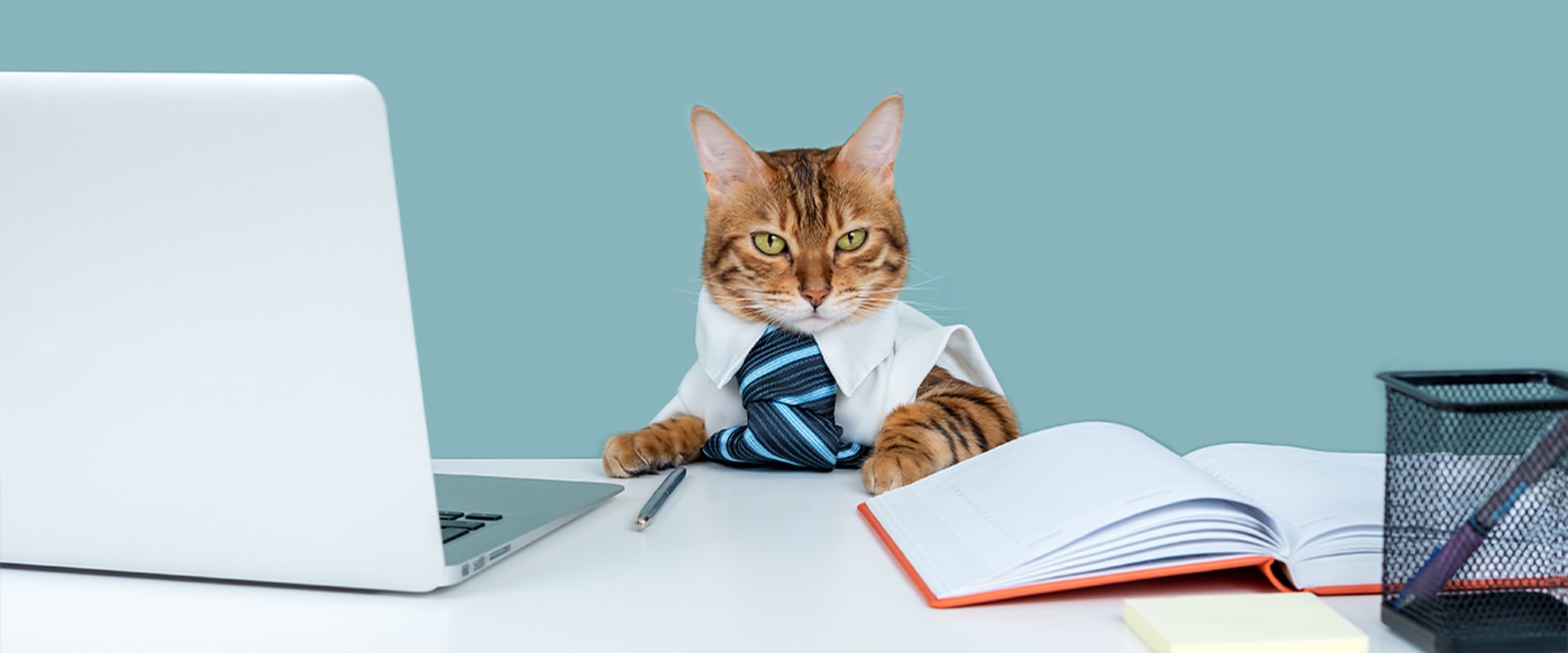 Why should we hire you call center with no experience?