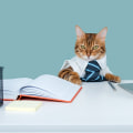 Why should we hire you call center with no experience?
