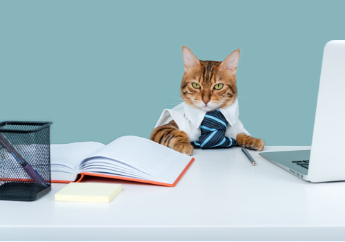 Why should we hire you call center with no experience?